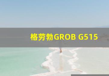 格劳勃GROB G515